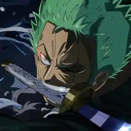 Roronoa Zoro 1