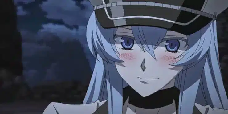 Akame Ga Kill: Esdeath Hakkında Bilmediğiniz 10 Şey 2 Esdeath