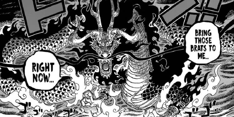 Kaido