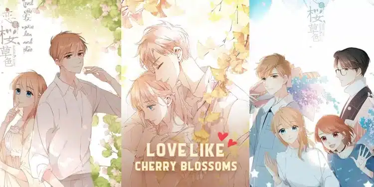 Love Like Cherry Blossoms