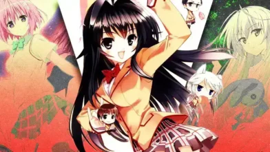 High School DxD Tarzı Animeler