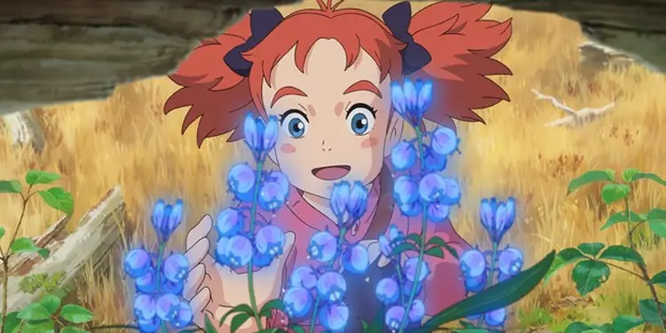 En İyi 20 ‘Senin Adın’ Benzeri Anime Film Önerisi 17 Mary to Majo no Hana