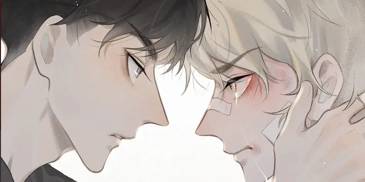 En İyi 15 Yaoi Manhwa, Sıralı 7 Salt Friend