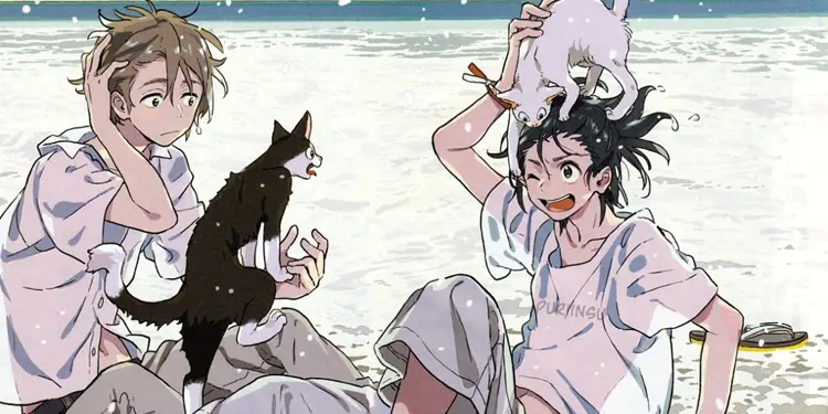 Bu Yılın En İyi Romantik Animeleri 3 Umibe no Étranger