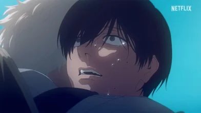 The Summer Hikaru Died