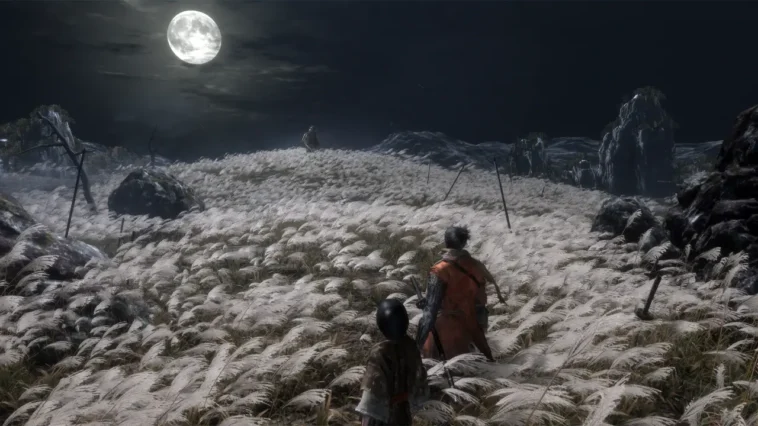 Sekiro Anime