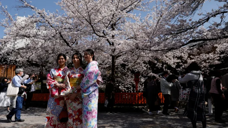 kimono giyen yabanci turistler kimono giyen yabancı turistler